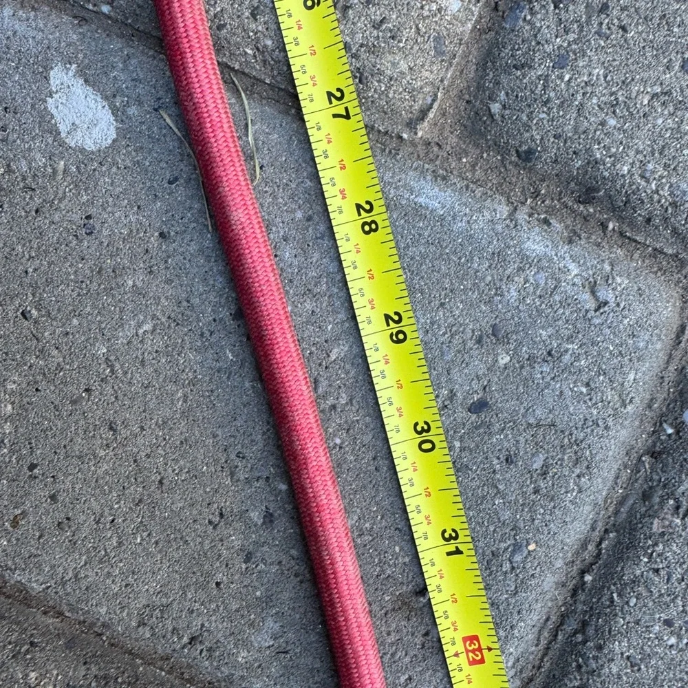 Red and Black Bungee Dog Leash